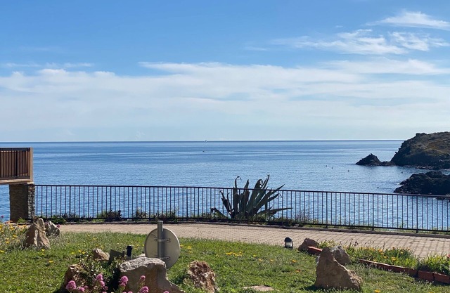 Apartment up to 4 people in Collioure feet in water facing the sea