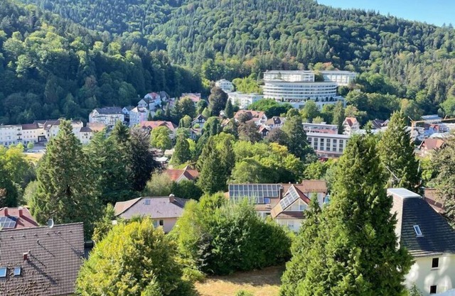 Apartment with indoor pool in Black Forest