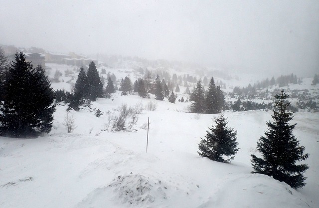 Apartment with kitchen 300 m from the ski runs, in the Italian Alps