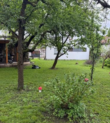 Apartments and Rooms MN, Konjic