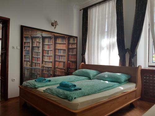 Apartments Fazarinc with parking, wellness and city store in the center of Celje