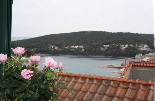 Apartments Sonja (31411-A1) - Pucisca - island Brac