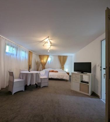 Apartments in Vienna suburbs - 40 min from Vienna city center