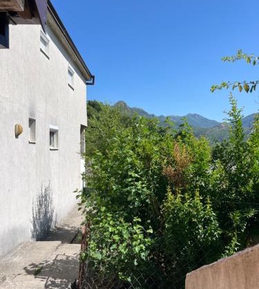 APARTMENTS Mir