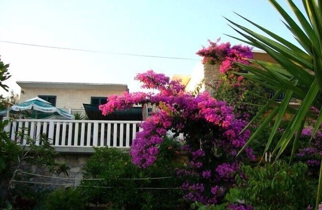 Apartments Nada, (11647), Sućuraj, hr