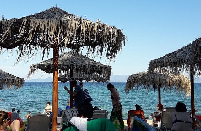 Apartments right on the beach 50sqm in size