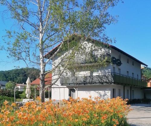 Apartments & rooms Saša