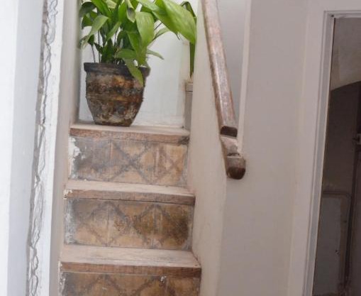 Apartments San Ignacio de Loyola