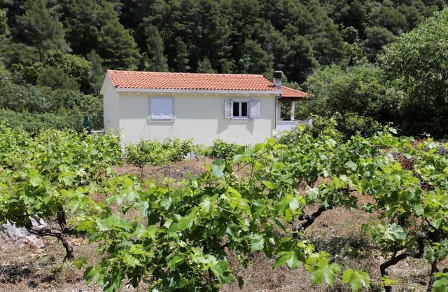 Apartments with parking space Trstenik, Peljesac - 10109