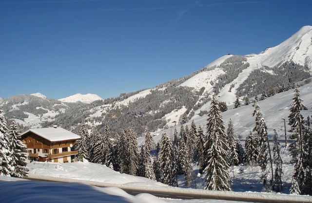 appart. for 5 people in a chalet with 4 apartments. of which the owner