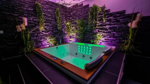 Appart' spa privatif Gray
