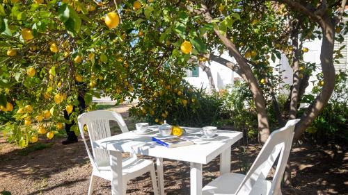 Appartamenti Melograno e Fico