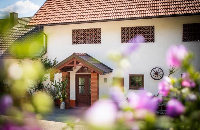 Appartements und Vinoteka DAVID