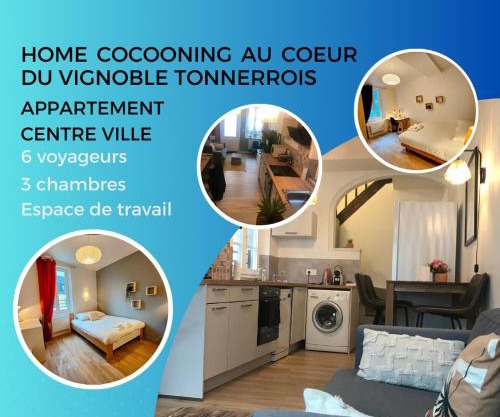 Appartement au coeur du vignoble tonnerrois
