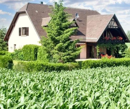 Appartement charmant à Hochfelden - 100 m² et parking gratuit