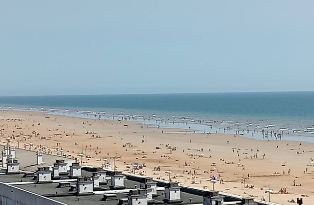 Appartement Vue Panoramique sur mer et Forêt à 100 m de L'esplanade