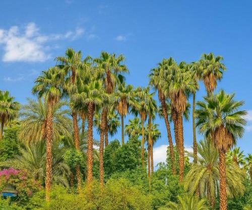 Appartement Luxe 2 Chambres Vue Directe Jardin Majorelle YSL