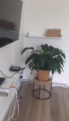 appartement proche paris et Roissy
