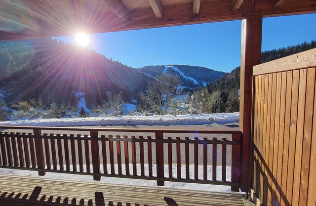 Appartement Proche Pistes de ski La Bresse Avec Parking Privé