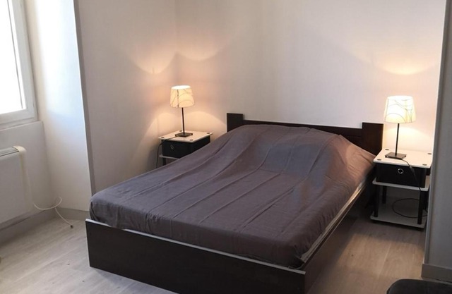 Appartement rénové face aux Thermes, wifi, animaux OK, cour privée, pour 3/4 pers. à La Roche-Posay - FR-1-541-36