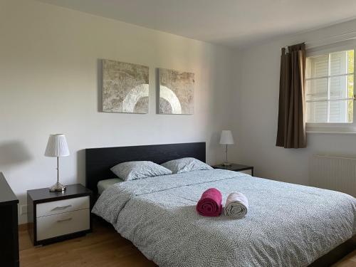 Appartement spacieux proche de Morges et Lausanne