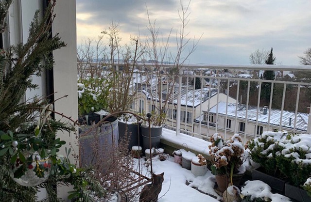 Appartement Très Lumineux Dernier Étage, vue sur Versailles