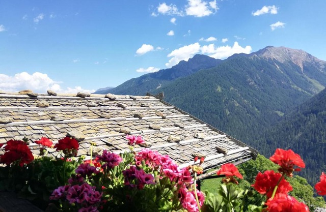 Appartements Mitteregghaus