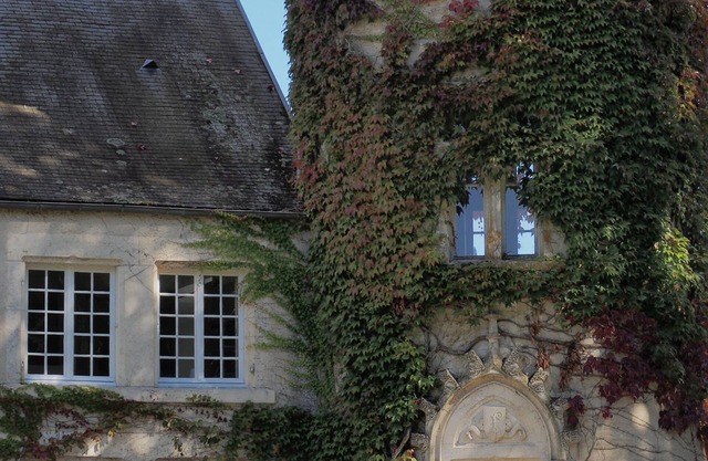 APPARTenTHÈSE - Peace, nature & comfort 3★ for 2 pers. in the heart of Bourgogne