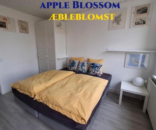 Apple Blossom Studio - near Rønne and Beach
