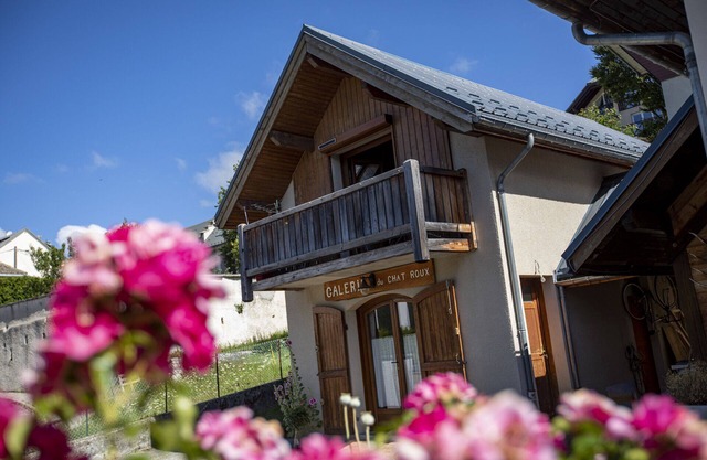 Art and ski, an artist and a ski instructor welcome you in their chalet