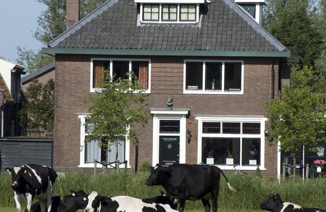 Art+bed and breakfast, short or long-term holidays