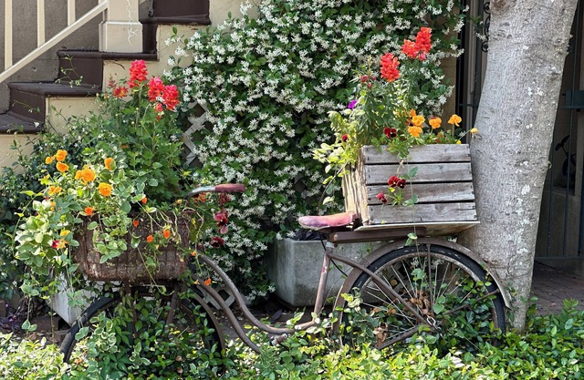 Artistic hideaway in the heart of the historic district