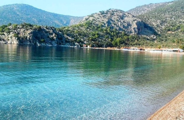 Artistic Studio in beachfront property with large shared garden