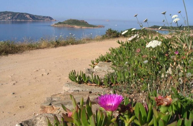 Asfoldelia: holiday, sea and relax in elegant apartment