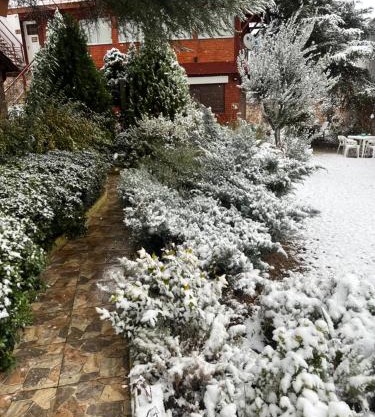 Ashram Asociación Argentina de Yoga