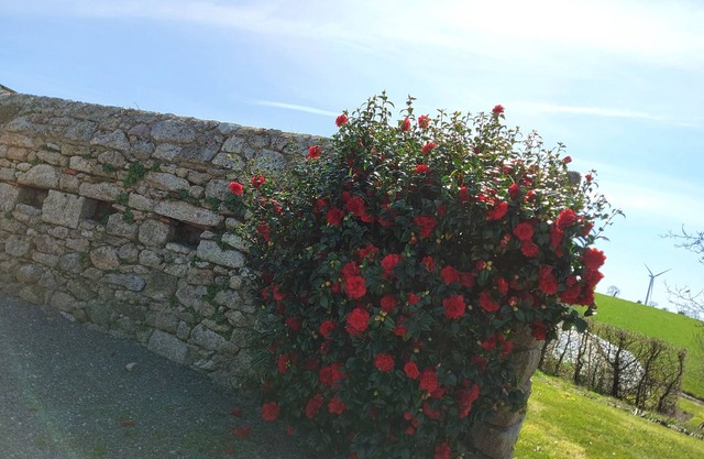 At the "commanderie" 15 mm from Puy du Fou