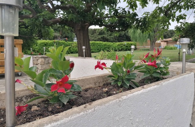 At the gateway to the Camargues