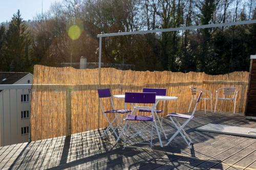 Attic Loft with rooftop terrace!