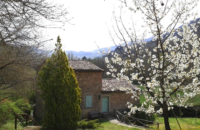 Attractive Renovated Stone Mill House, Lovely Private Pool, Sleeps Max 5 People.