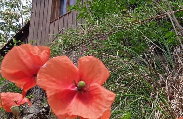 Atypical accommodation in the heart of the Ariège Pyrenees
