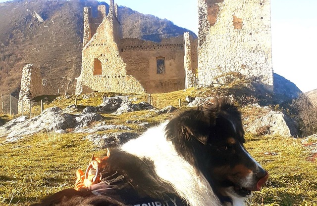AU Pied DU Chateau Miglos