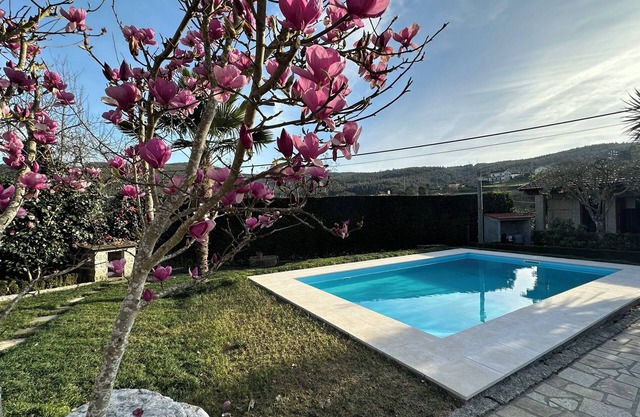 Aunt Palmira's House