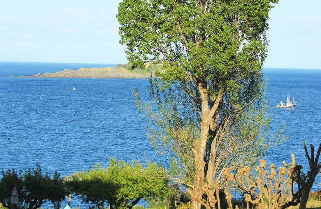 Aurrekoetxea 36 Vacation Rental - Talako Izarra