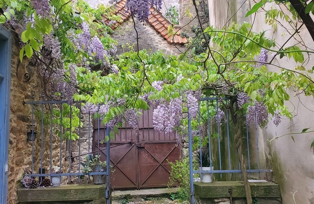Authentic, family-run B&B 10 minutes from Carcassonne.