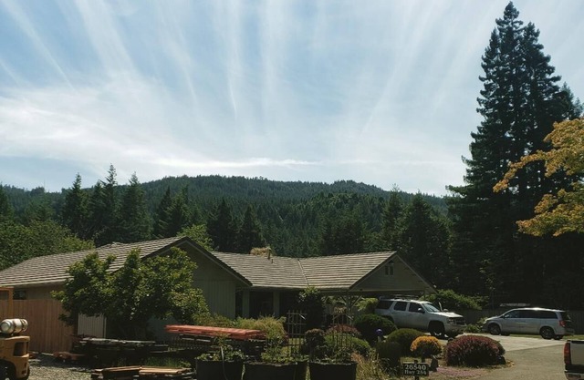 Avenue of the Giants Burl bungalow