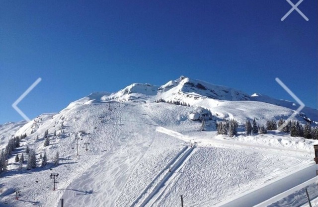 Avoriaz ski resort : beautiful apartment of 70m2