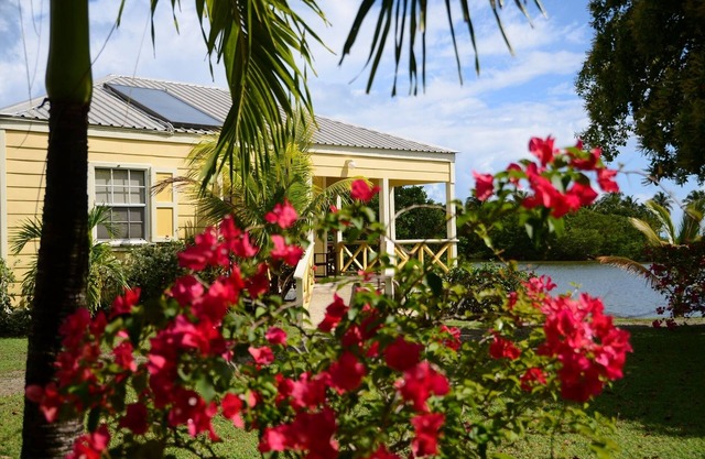 Award-Winning, Charming Cottage in a 6-minute walk from a white sand beach.