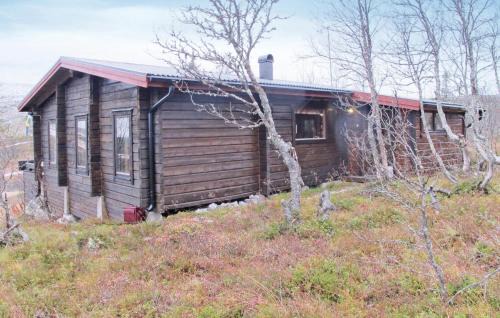 Awesome Home In Vemdalen With Sauna