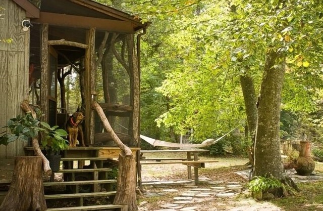Aylett River Paradise: A whimsical gem designed to harmonize with nature.
