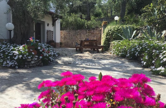 Azienda Agricola B&B Macchiaria